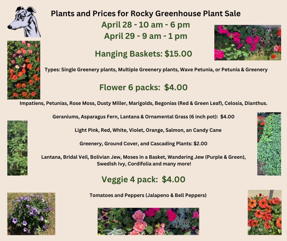 Rocky Comfort Annual Greenhouse Plant Sale